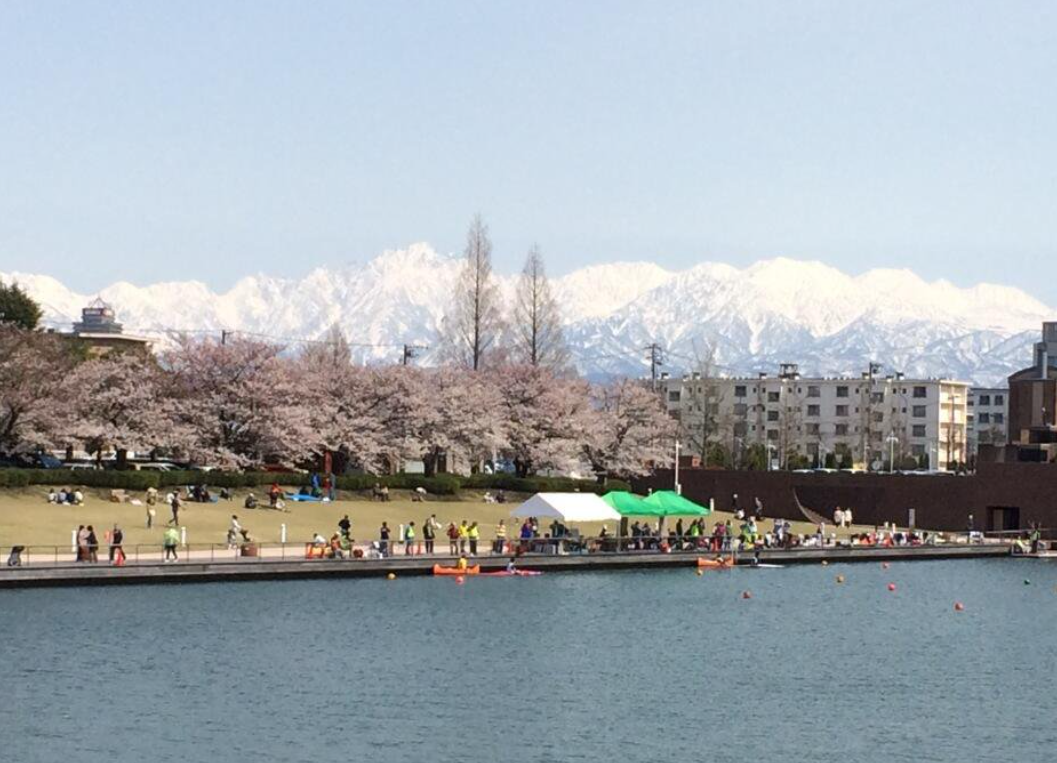 環水公園 周辺 駐車場
