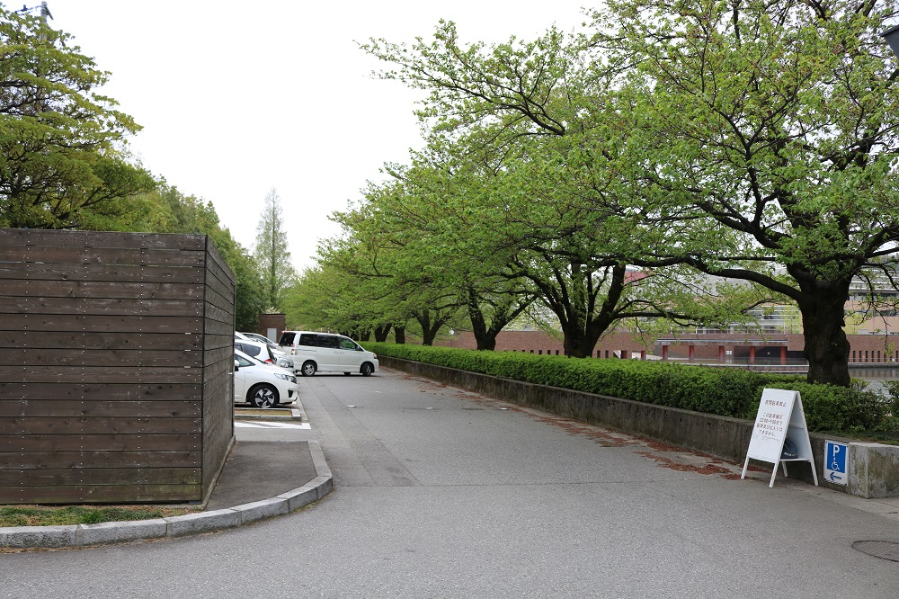 環水公園 駐車場 スタバ
